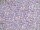TOHO Round Beads 11/0 - 477D Transparent Rainbow Purple (ca. 10g)