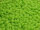 TOHO Round Beads 11/0 - 44F Opaque Frosted Sour Apple (50g Vorteilspack)