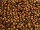 TOHO Round Beads 11/0 - 618 Opaque Pastel Frosted Mudbrick (50g Vorteilspack)