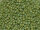 TOHO Round Beads 11/0 - 2632F Semi Glazed Rainbow Honeydew (50g Vorteilspack)