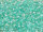 TOHO Treasure Beads 11/0 - 793 PaleTurquoise-Lined Rainbow Crystal (ca. 5g)
