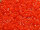 TOHO Treasure Beads 11/0 - 50 Opaque Sunset Orange (ca. 5g)