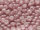 TOHO Round Beads 8/0 - 127 Opaque Lustered Pale Mauve (50g Vorteilspack)