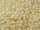 TOHO Round Beads 8/0 - 123 Opaque Lustered Light Beige (50g Vorteilspack)