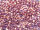 TOHO Round Beads 11/0 - 202 Gold-Lustered Lilac (ca. 10g)
