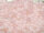 TOHO Round Beads 11/0 - 145F Ceylon Frosted Innocent Pink (50g Vorteilspack)