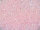 TOHO Round Beads 11/0 - 145L Ceylon Soft Pink (ca. 10g)