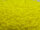 TOHO Round Beads 11/0 - 42F Opaque Frosted Dandelion (50g Vorteilspack)