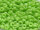 TOHO Round Beads 8/0 - 44 Opaque Sour Apple (50g Vorteilspack)