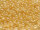 TOHO Round Beads 11/0 - 901 Ceylon Light Yellow (50g Vorteilspack)