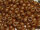 TOHO Round Beads 11/0 - PF551F PermaFinish Matte Galvanized Rose Gold (50g Vorteilspack)