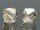 SWAROVSKI #5328 4mm Crystal Golden Shadow (001 GSHA)