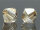 SWAROVSKI #5328 4mm Crystal Golden Shadow (001 GSHA)