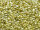 TOHO Aiko Beads 11/0 - PF559 PermaFinish Galvanized Yellow Gold (ca. 3g)