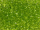 TOHO Round Beads 8/0 - 4 Transparent Lime Green (ca.9,5g)