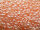 TOHO Round Beads 8/0 - 905 Ceylon Peach (50g Vorteilspack)