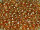 TOHO Round Beads 11/0 - PF591 PermaFinish Galvanized Golden Ochre (50g Vorteilspack)