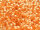 TOHO Treasure Beads 11/0 - PF2112 PermaFinish Silver-Lined Milky Grapefruit (ca. 5g)