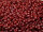 TOHO Round Beads 11/0 - 2003 Ancient Matte Brick Red (50g Vorteilspack)