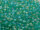 TOHO Round Beads 11/0 - 164BF Transparent Rainbow Frosted Dark Peridot (50g Vorteilspack)