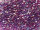 TOHO Treasure Beads 11/0 - 776 Purple-Lined Rainbow Aqua (ca. 5g)