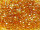 TOHO Treasure Beads 11/0 - 162C Transparent Rainbow Topaz (ca. 5g)