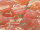 Star Flower Cup 10mm - Milky Salmon Pink