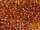 TOHO Round Beads 15/0 - 941 Transparent Smoky Topaz (ca. 6g)