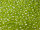 TOHO Round Beads 8/0 - 105 Transparent Lustered Lime Green (50g Vorteilspack)
