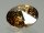 SWAROVSKI #1122 18mm Crystal Golden Shadow (001 GSHA) Foiled