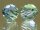 SWAROVSKI #5000 8mm Provence Lav-Chrysolite Blend (726) SONDERFARBE Vintage