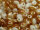 Preciosa Twin Pressed Beads 2.5x5mm White Opaque Gold Luster (ca. 10g)