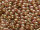 Czech Pressed Beads 2mm - Luster Opaque Rose/Gold Topaz