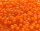 TOHO Round Beads 11/0 - 42DF Opaque Frosted Cantelope (ca. 10g)