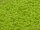 TOHO Round Beads 11/0 - 44 Opaque Sour Apple (ca. 10g)
