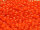TOHO Round Beads 11/0 - 50 Opaque Sunset Orange (ca. 10g)