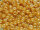 TOHO Round Beads 11/0 - 123D Opaque Lustered Dark Beige (ca.10g)
