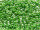 TOHO Round Beads 11/0 - 130 Opaque-Lustered Mint Green (ca.10g)