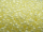 TOHO Round Beads 11/0 - 142 Ceylon Banana Cream (ca. 10g)