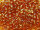 TOHO Round Beads 11/0 - 162C Transparent Rainbow Topaz (ca. 10g)