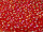 TOHO Round Beads 11/0 - 165B Transparent Rainbow Siam Ruby (ca. 10g)