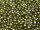 TOHO Round Beads 11/0 - 457 Gold-Lustered Green Tea (ca. 10g)