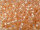 TOHO Round Beads 11/0 - 2111 Silver-Lined Milky Peach (ca. 10g)