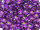 TOHO Round Beads 11/0 - 2224 Silver-Lined Purple (ca. 10g)