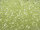 TOHO Round Beads 8/0 - 15 Transparent Citrus Spritz (ca. 9,5g)