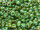 TOHO Round Beads 8/0 - Y307 HYBRID Turquoise Picasso (ca. 9,5g)