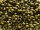 TOHO Round Beads 8/0 - 702 Matte Dark Copper (ca.9,5g)