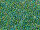 TOHO Round Beads 15/0 - 249 Emerald-Lined Peridot (ca. 6g)