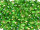 TOHO Round Beads 6/0 - 2027 Silver-Lined Rainbow Peridot (ca. 8,5g)