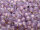 TOHO Round Beads 8/0 - PF2108 PermaFinish Silver-Lined Milky Amethyst (ca. 9,5g)
